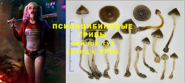 гидропоника Аркадак