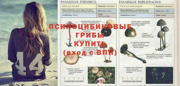 Альфа ПВП Балабаново