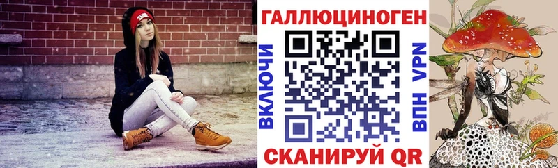 купить наркотик  гидра зеркало  Галлюциногенные грибы Magic Shrooms  Опочка 